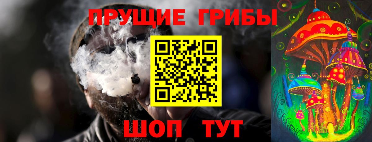 Крымск  Псилоцибиновые грибы прущие грибы  Вход с VPN 