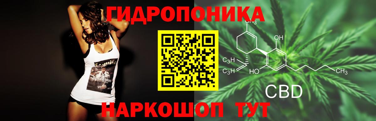 Бошки марихуана гибрид Крымск